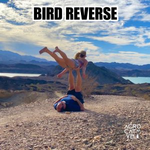 Bird Reverse - Acro Yoga 757 Pose Jeff Miller & Maddie Mograbi