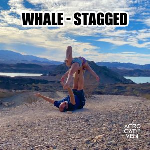 Whale Staggered - Acro Yoga 757 Pose Jeff Miller & Maddie Mograbi