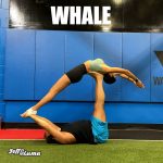 Acro Yoga Pose - Whale