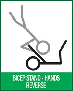Acro Yoga - Bicep Stand on Hands