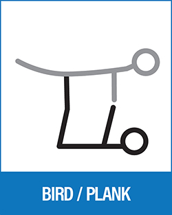 Acro Yoga - Bird Plank