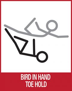 Acro Yoga - Bird In Hands Baby Bird Toe Hang