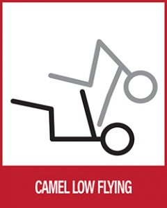 Acro Yoga - Camel Low