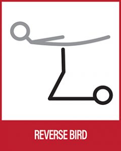 Acro Yoga - Reverse Bird