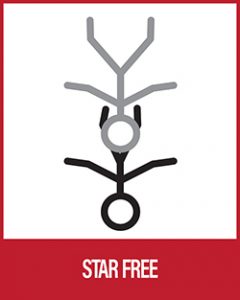 Acro Yoga - Star Free
