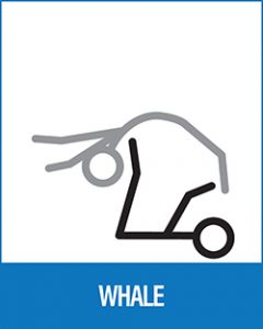 Acro Yoga - Whale